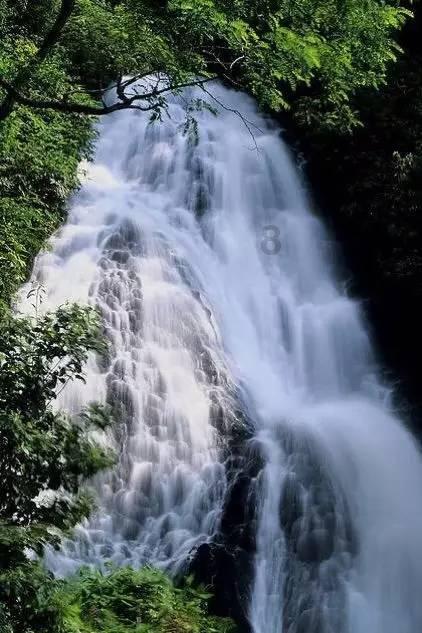 春雨直播app